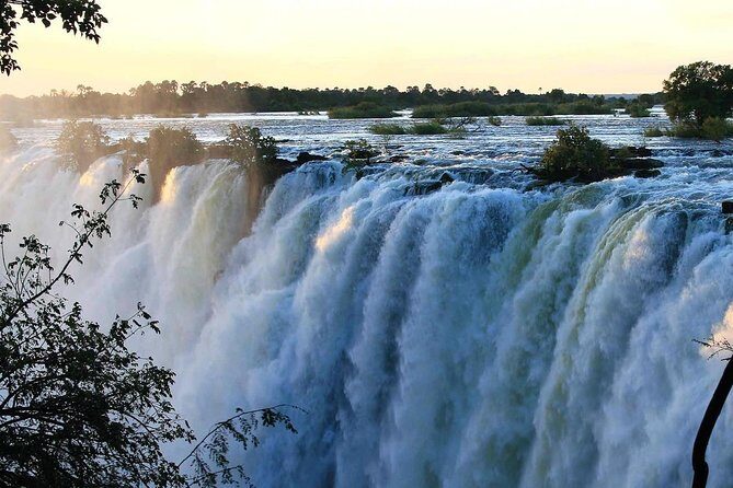 Victoria Falls Private Guided Sunrise Tour - What you’ll learn along the way: birds, plants, and local context