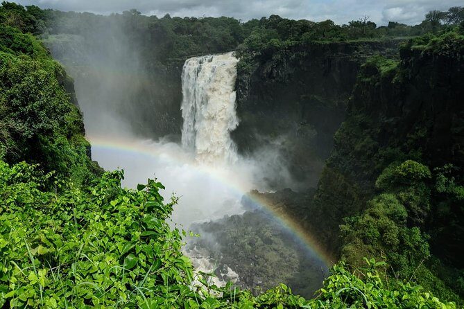 Victoria Falls Private Guided Sunrise Tour - Price and entrance fees: what the $50 tour really costs