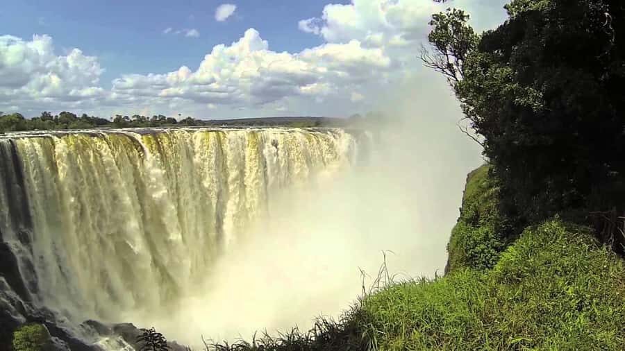 Victoria Falls: Private Guided Tour of the Falls - Rainforest walking safari: why the forest matters here
