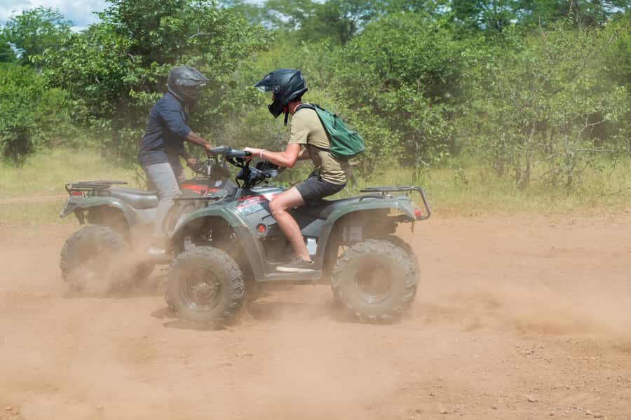 Victoria Falls Quad Bike Adventure - The Big Tree baobab: a pause from speed