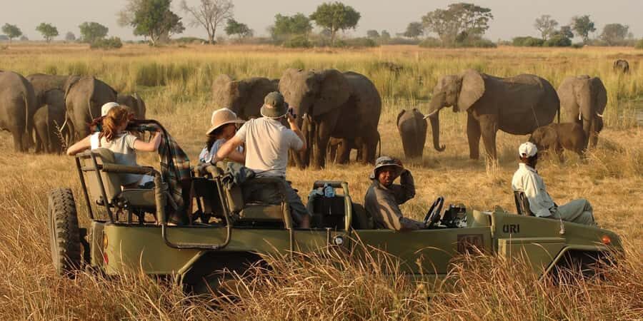 Victoria Falls Safari with Lunch and Sunset Cruise - Key points that make this tour worth your time