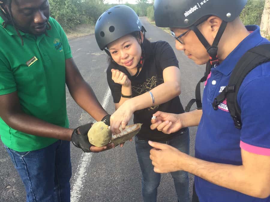 Victoria Falls: Segway Tour - Key takeaways before you book