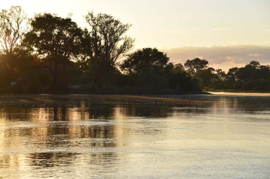 Victoria Falls: Sunrise Cruise on the Zambezi River - What to do during the cruise to get the most out of it