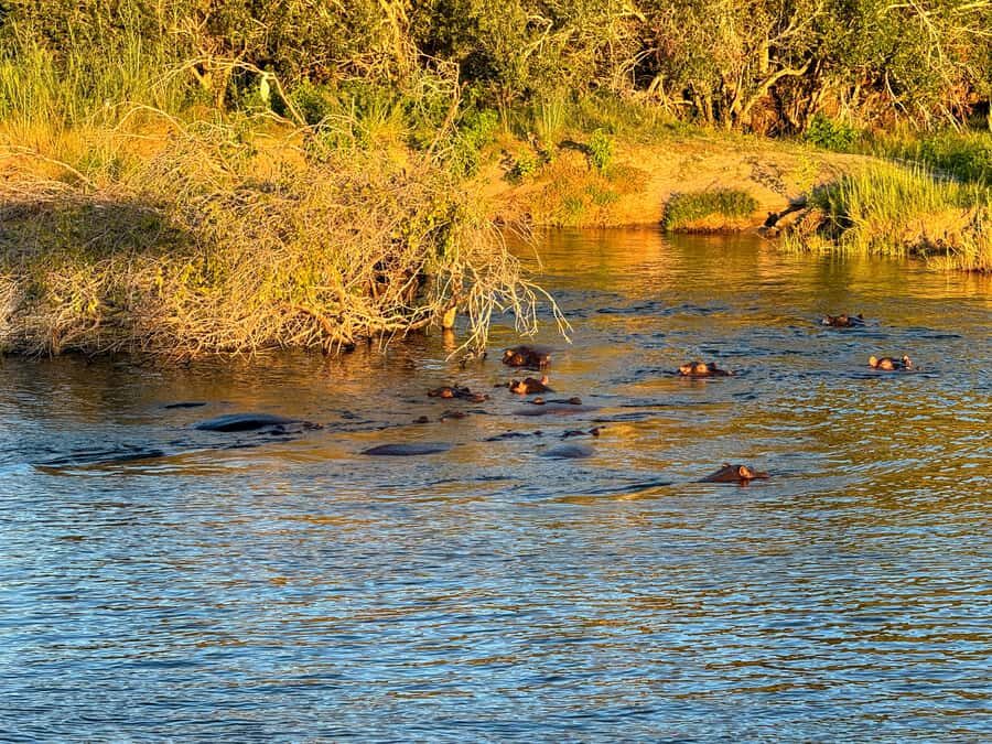 Victoria Falls: Sunset Cruise on the Zambezi River - Livingstone’s Legacy: The Story Behind the River