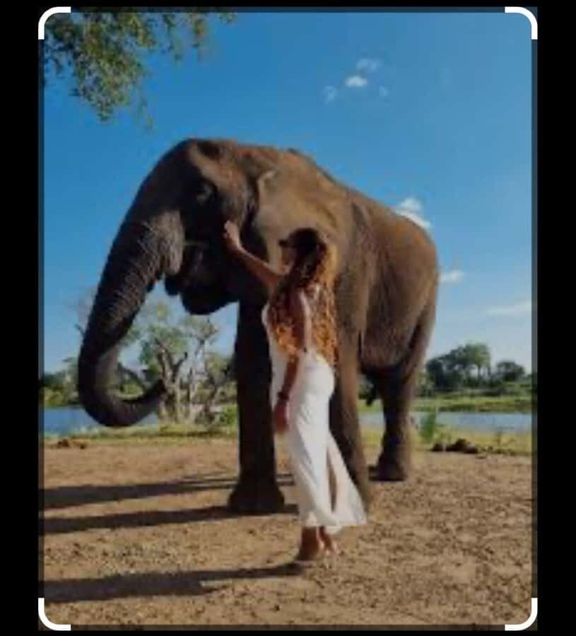 Victoria Falls: Through the eye of an elephant - A Practical Way to Prepare (So You Get the Best Day)