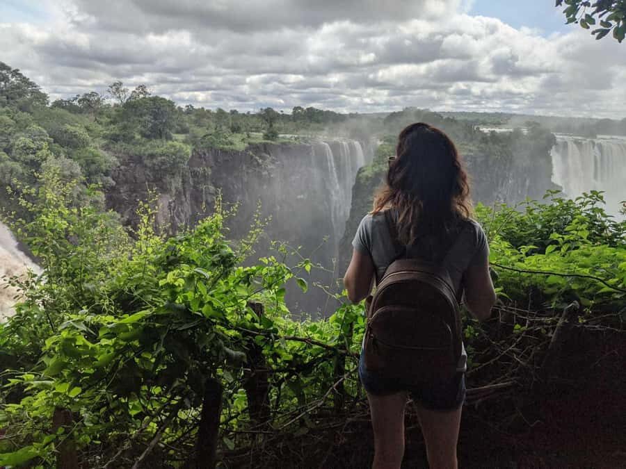 Victoria Falls Town: Victoria Falls Guided Sunrise Tour - What You Learn Beyond the Water: Flora, Fauna, and Falls History
