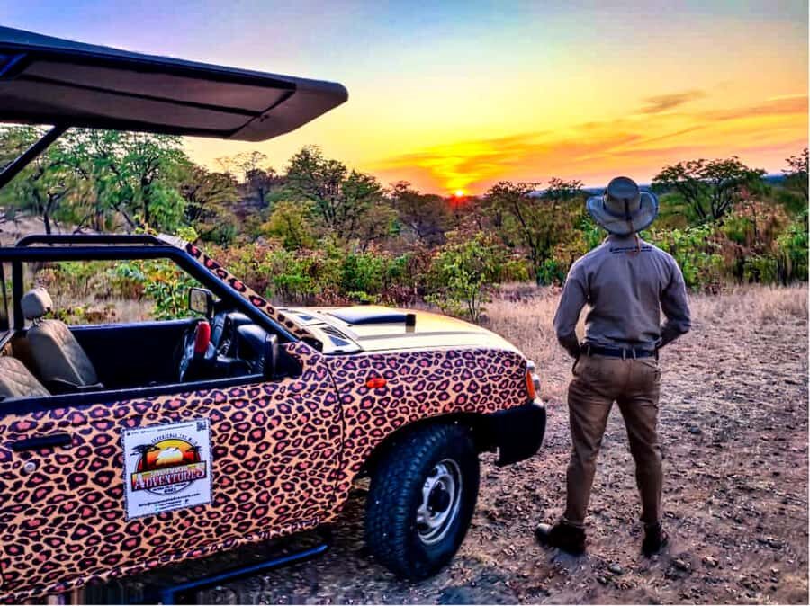 Victoria Falls: Vulture Safari and Bush Walk - The Waterhole Angle: Wildlife Beyond the Main Event