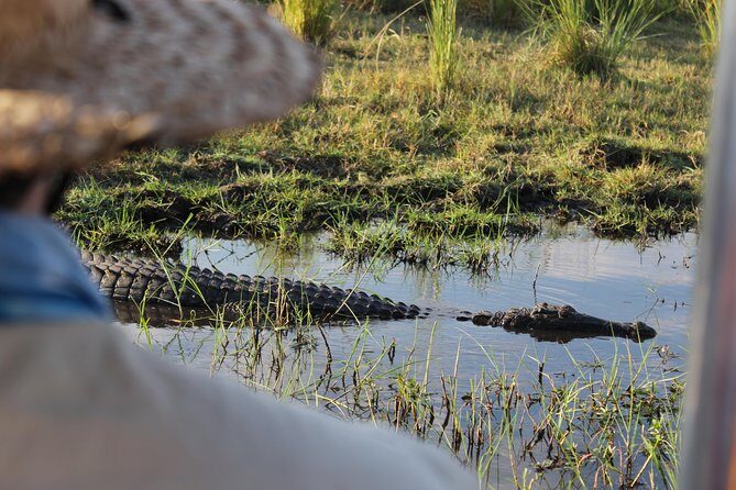 Victoria Falls: Whitewater Rafting + Chobe Safari Combo - Chobe National Park Safari: Game Drive Plus Boat Safari