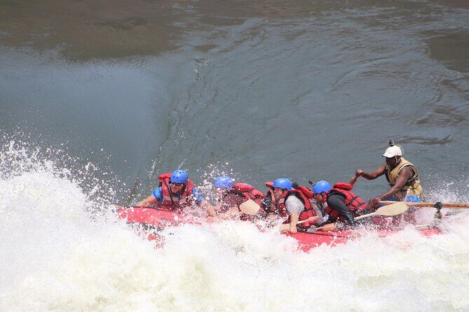 Victoria Falls: Whitewater Rafting + Chobe Safari Combo - How Fit You Need to Be (Class 3–5 Means Commitment)