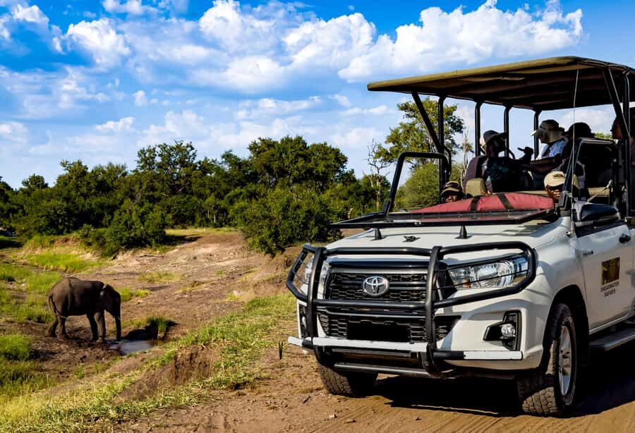 Victoria Falls: Zambezi National Park Game Drive - What You’re Booking in Victoria Falls: A Real Safari Drive, Not a Long Excursion