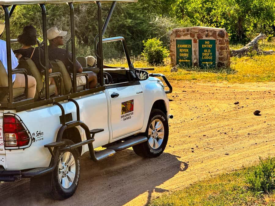 Victoria Falls: Zambezi National Park Game Drive - Viewing Animals on Land and in Water: Why the Zambezi River Matters