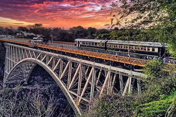 Walking Safari to the Falls, Bridge and beyond with Savannah - Wildlife Sightings: What You Can Count On (And What You Can’t)