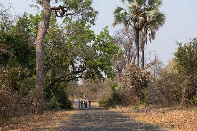 Wild Horizons Bike Tour (Zimbabwe) - Bike Tour Around Vic Falls Town: Markets, Shops, and Landmarks