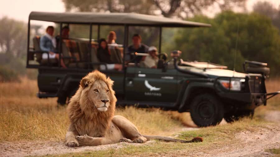 Zambezi 3hr Game Drive - 3 hours in the bush: how the timing feels in practice
