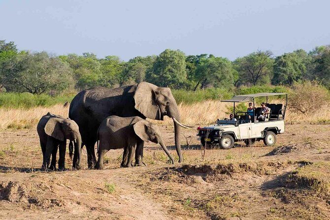 Zambezi National Park AM or PM Game Drive - Zambezi National Park Game Drive from Victoria Falls: The practical reason it works