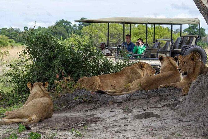Zambezi National Park AM or PM Game Drive - Price and value: is $105 a fair deal?