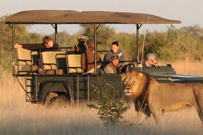 Zambezi National Park AM or PM Game Drive - Should you book this Zambezi National Park AM or PM game drive?