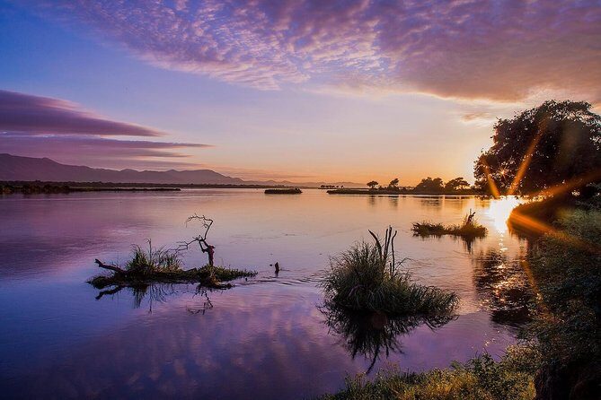 Zambezi River Standard Sunset Cruise - Drinks and snacks included: what to expect and how to make it work