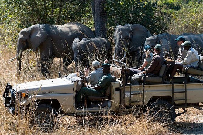 Zambezi Sunset Cruise + Game Drive Safari with hotel Pick Up - Game Drive in Your Chosen Slot: The Chase, With Safety