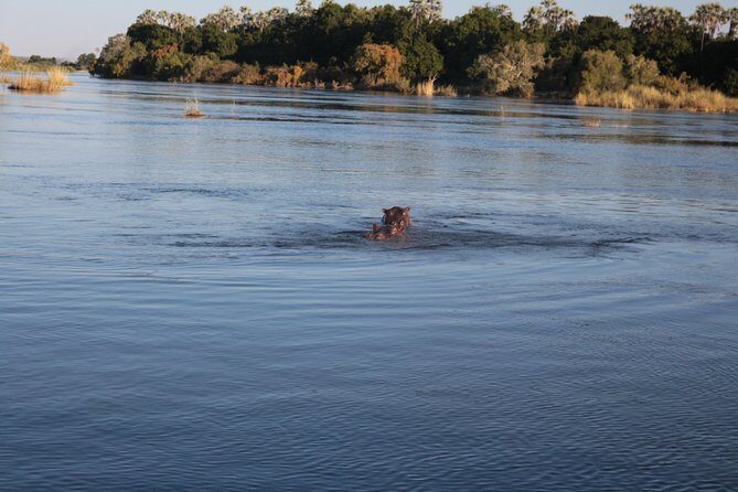 Zambezi Sunset Cruise – Wildlife, Drinks & Breathtaking Views - Stop 1: Breathtaking Sunset Views Over the Zambezi