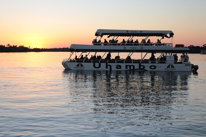 Zambezi Sunset Cruise – Wildlife, Drinks & Breathtaking Views - Stop 2: Wildlife Encounters Along the Riverbanks